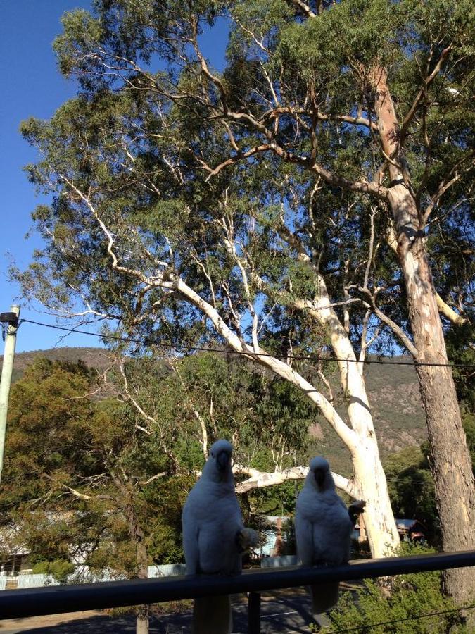 Vila Glengarriff Townhouse 3 Halls Gap Exteriér fotografie